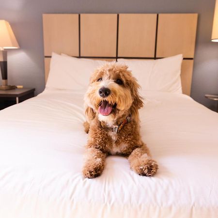Sonesta Simply Suites Parsippany Morris Plains Eksteriør bilde